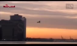 ویدئو/ 11 سپتامبر 2001 در آمریکا چه گذشت؟