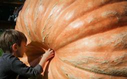 تصاویر روز 16 مهر 97,عکس های روز شانزدهم مهر 97,عکسهای زیبا 8 اکتبر 2018