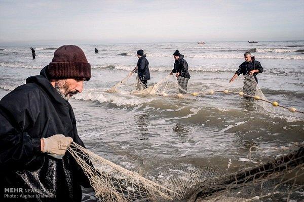 فصل صید ماهی فصل صید ماهی,اخبار اقتصادی,خبرهای اقتصادی,کشت و دام و صنعت
