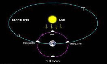 دیدن هلال ماه,اخبار علمی,خبرهای علمی,نجوم و فضا