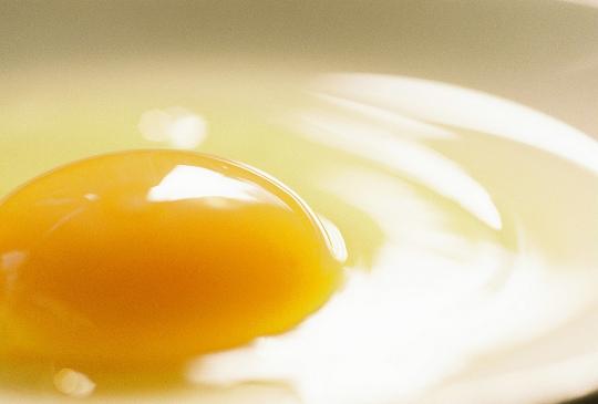 تخم مرغ تخم مرغ,اخبار اقتصادی,خبرهای اقتصادی,کشت و دام و صنعت