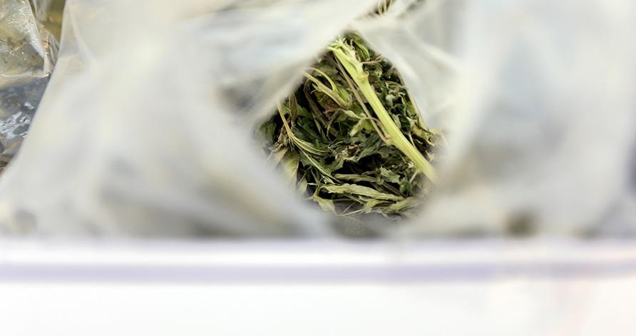 مواد مخدر گل,اخبار اجتماعی,خبرهای اجتماعی,حقوقی انتظامی