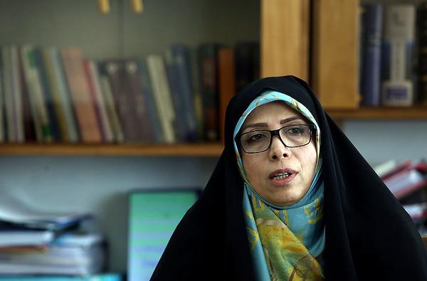 الهام امین زاده,اخبار سیاسی,خبرهای سیاسی,دولت