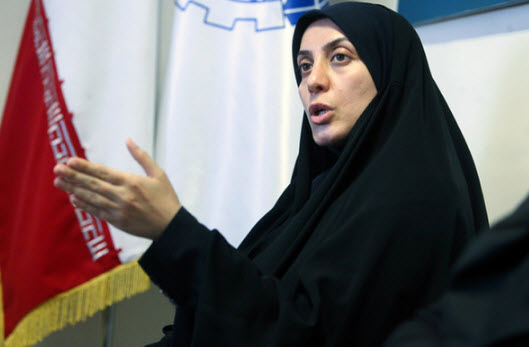 سیده حمیده زرآبادی,اخبار سیاسی,خبرهای سیاسی,مجلس