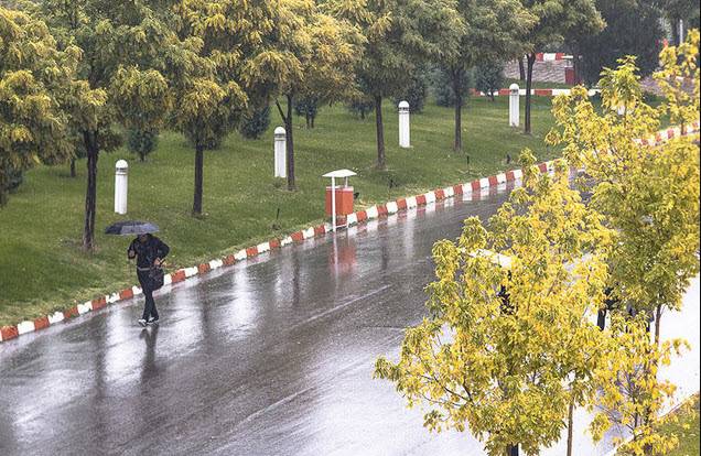 بارش باران بارش باران,اخبار اجتماعی,خبرهای اجتماعی,محیط زیست