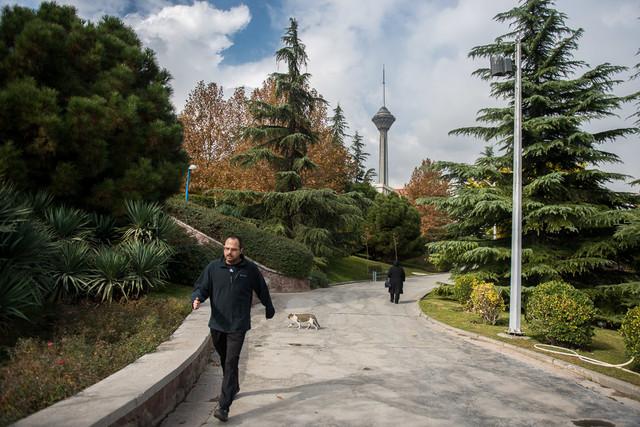 هوای تهران,اخبار اجتماعی,خبرهای اجتماعی,محیط زیست