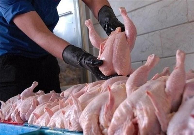 مرغ مرغ,اخبار اقتصادی,خبرهای اقتصادی,کشت و دام و صنعت