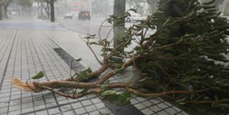 طوفان در ژاپن,اخبار حوادث,خبرهای حوادث,حوادث طبیعی