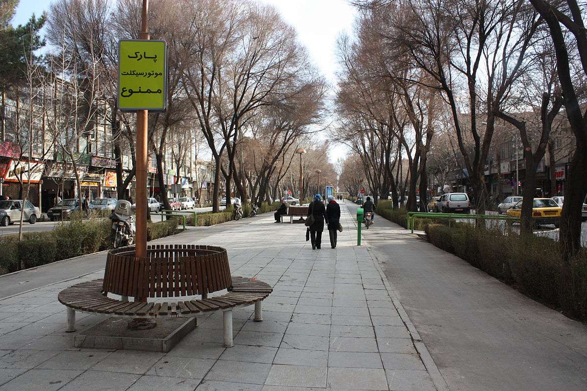قطع درختان چهارباغ بالا اصفهان,اخبار اجتماعی,خبرهای اجتماعی,محیط زیست
