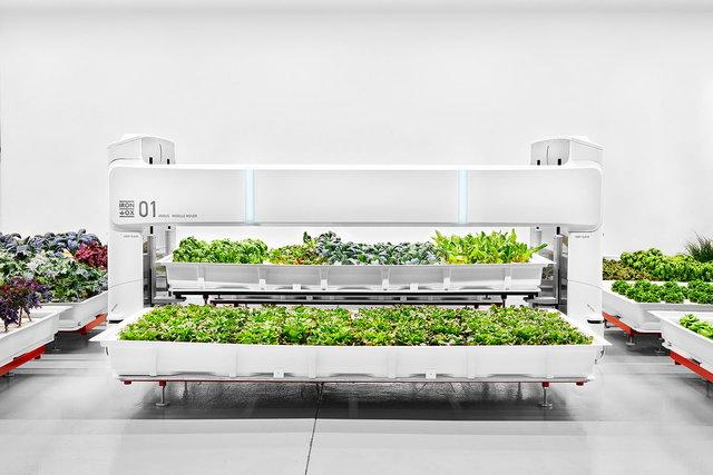 پرورش سبزیجات در مزرعه رباتیک,اخبار علمی,خبرهای علمی,اختراعات و پژوهش
