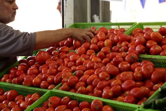 قیمت گوجه فرنگی,اخبار اقتصادی,خبرهای اقتصادی,کشت و دام و صنعت