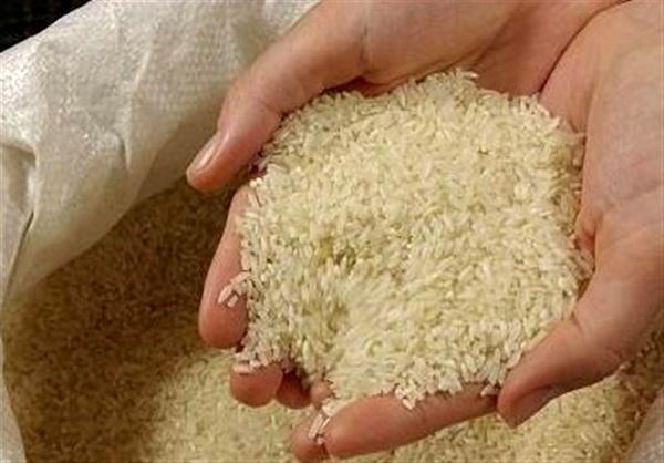 واردات برنج واردات برنج,اخبار اقتصادی,خبرهای اقتصادی,کشت و دام و صنعت
