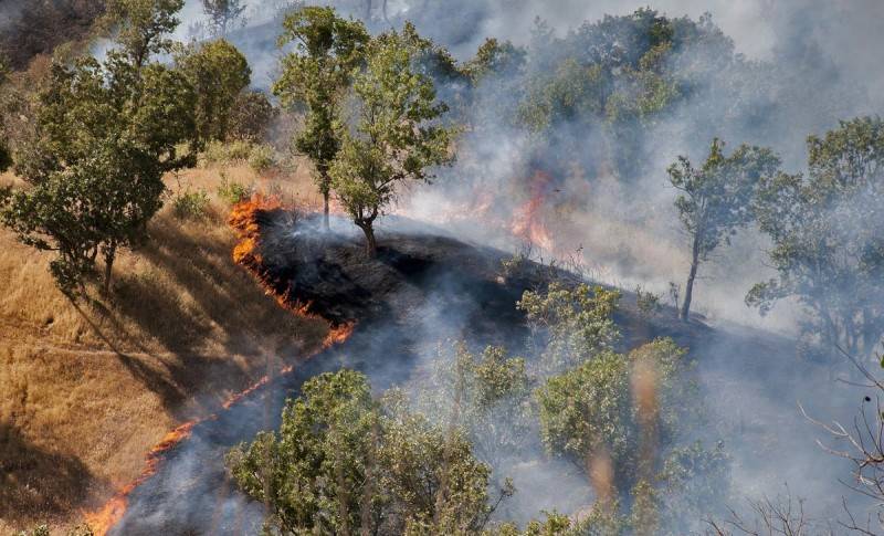آتش سوزی جنگل و مراتع,اخبار علمی,خبرهای علمی,طبیعت و محیط زیست