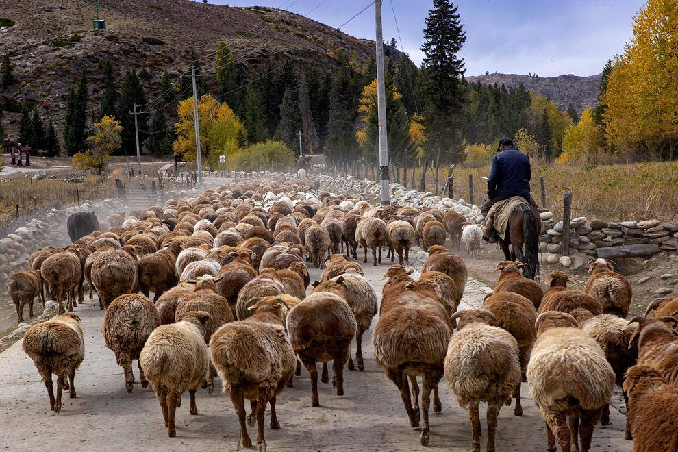 تصاویر دیدنی نوزدهم مهر 97,عکس های اتفاقات مهم دنیا 19 مهر 97,عکس های جذاب 11 اکتبر 2018
