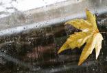 بارش باران,اخبار اجتماعی,خبرهای اجتماعی,محیط زیست