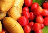 گوجه فرنگی و سیب زمینی,اخبار اقتصادی,خبرهای اقتصادی,کشت و دام و صنعت