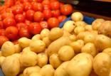 سیب زمینی و گوجه,اخبار اقتصادی,خبرهای اقتصادی,کشت و دام و صنعت