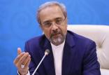 محمد نهاوندیان,اخبار سیاسی,خبرهای سیاسی,دولت