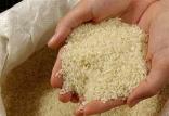واردات برنج,اخبار اقتصادی,خبرهای اقتصادی,کشت و دام و صنعت