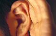 درمان ناشنوایی ناگهانی,اخبار پزشکی,خبرهای پزشکی,تازه های پزشکی
