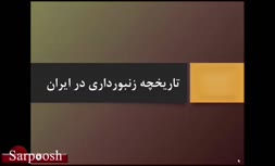 ویدئو/از تاریخچه زنبورداری تا زنبورداری مدرن در ایران