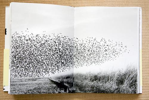 سلبریتی‌ها,اخبار هنرمندان,خبرهای هنرمندان,اخبار بازیگران