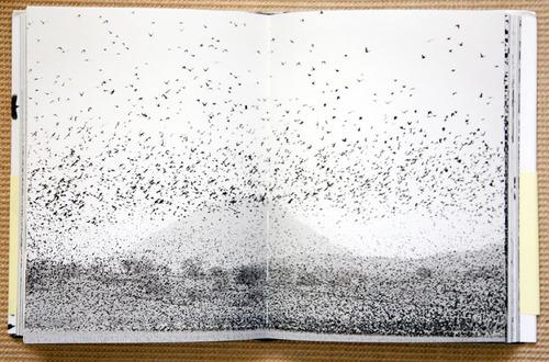 سلبریتی‌ها,اخبار هنرمندان,خبرهای هنرمندان,اخبار بازیگران