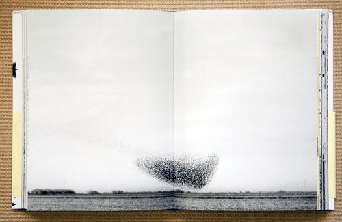 سلبریتی‌ها,اخبار هنرمندان,خبرهای هنرمندان,اخبار بازیگران