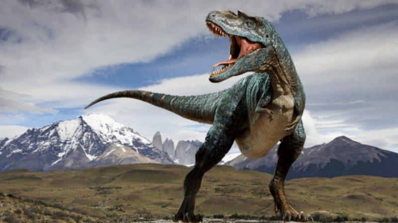 گونه جدید دایناسورها,اخبار علمی,خبرهای علمی,طبیعت و محیط زیست