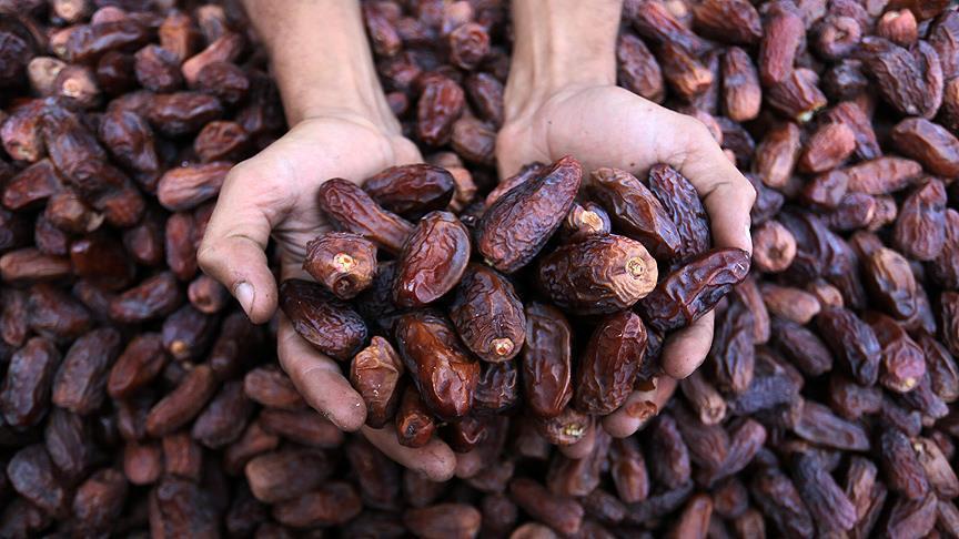 خرما,اخبار اقتصادی,خبرهای اقتصادی,کشت و دام و صنعت