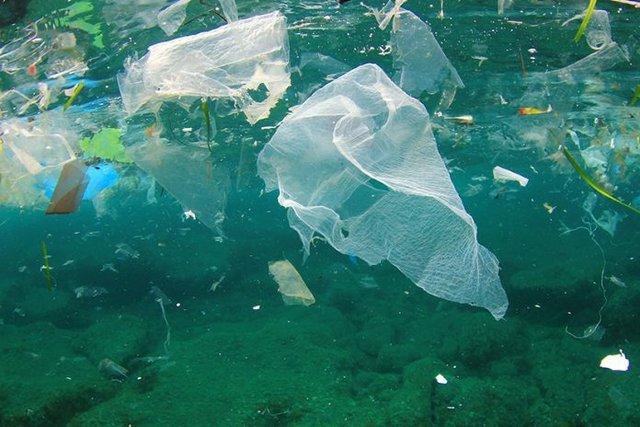 ورود پلاستیک به دریاها,اخبار علمی,خبرهای علمی,طبیعت و محیط زیست