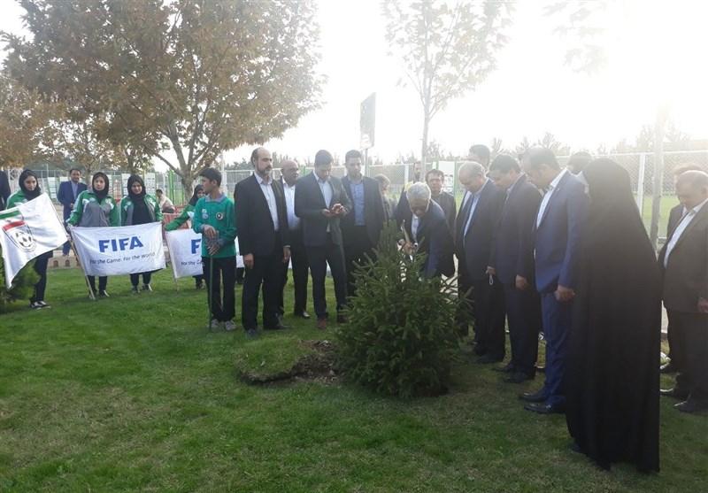 ساختمان جدید فدراسیون فوتبال,اخبار فوتبال,خبرهای فوتبال,فوتبال ملی