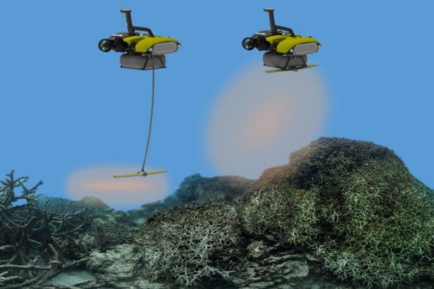 کمک ربات ها به صخره‌های مرجانی,اخبار علمی,خبرهای علمی,اختراعات و پژوهش