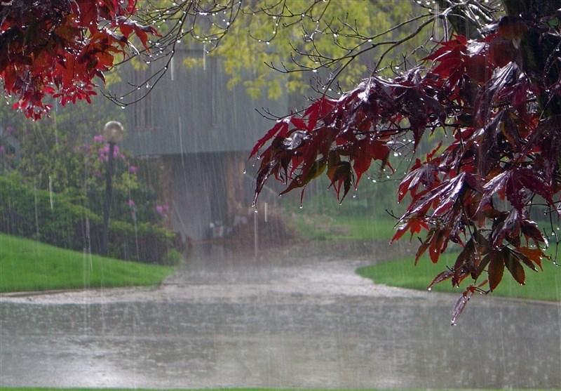 هواشناسی و سامانه بارشی,اخبار اجتماعی,خبرهای اجتماعی,محیط زیست