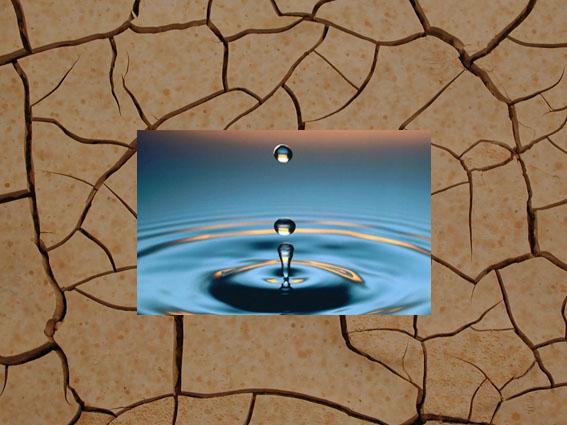 وضعیت نامناسب آب‌های شیرین,اخبار علمی,خبرهای علمی,طبیعت و محیط زیست
