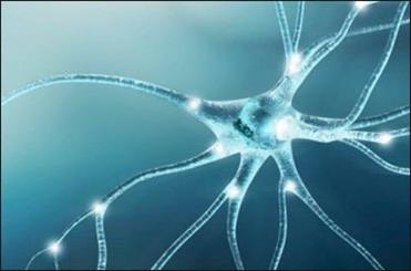 کاربرد بوتاکس کاربرد بوتاکس,اخبار پزشکی,خبرهای پزشکی,مشاوره پزشکی