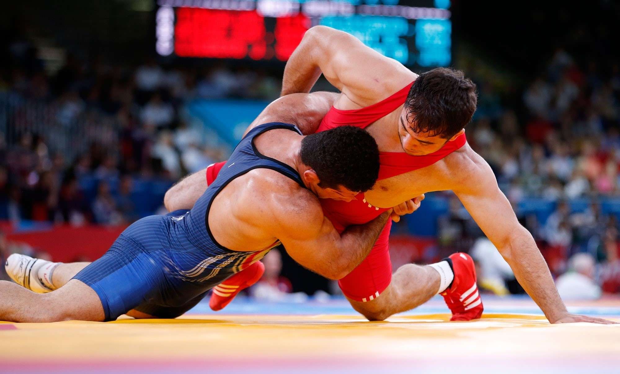 نتایج ضعیف تیم ملی کشتی در بوداپست,اخبار ورزشی,خبرهای ورزشی,کشتی و وزنه برداری