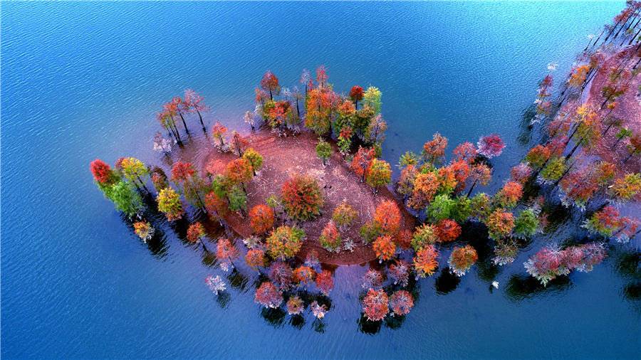تصاویر جنگل‌های هزار رنگ چین,عکس های جنگل های رنگانگ استان ژجیانگ چین, تصاویر رنگارنگ جنگل های چین در فصل پاییز