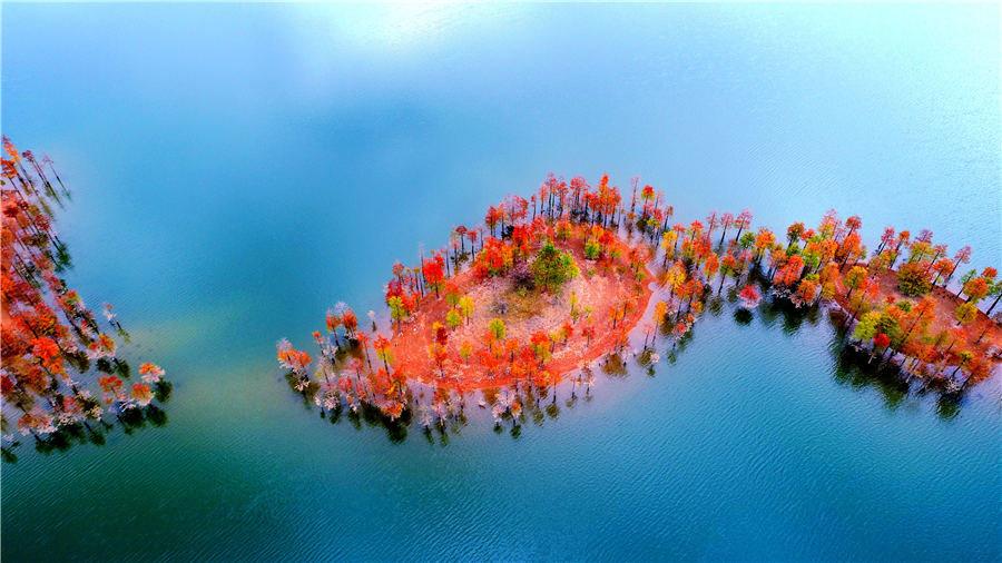 تصاویر جنگل‌های هزار رنگ چین,عکس های جنگل های رنگانگ استان ژجیانگ چین, تصاویر رنگارنگ جنگل های چین در فصل پاییز