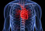 حمله قلبی,اخبار پزشکی,خبرهای پزشکی,تازه های پزشکی