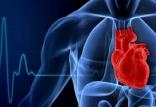 قلب,اخبار پزشکی,خبرهای پزشکی,تازه های پزشکی