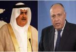 سامح شکری و خالد بن احمد آل خلیفه,اخبار سیاسی,خبرهای سیاسی,خاورمیانه