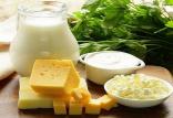 لبنیات,اخبار پزشکی,خبرهای پزشکی,تازه های پزشکی