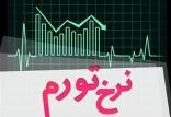 تورم,اخبار اقتصادی,خبرهای اقتصادی,اقتصاد کلان
