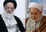 آیت الله یزدی و آیت الله شبیری زنجانی,اخبار سیاسی,خبرهای سیاسی,اخبار سیاسی ایران