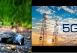 اینترنت پرسرعت ۵G در هلند,اخبار دیجیتال,خبرهای دیجیتال,اخبار فناوری اطلاعات