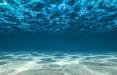 حل شدن کف اقیانوس ها,اخبار علمی,خبرهای علمی,طبیعت و محیط زیست