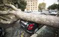 طوفان در ایتالیا,اخبار حوادث,خبرهای حوادث,حوادث طبیعی