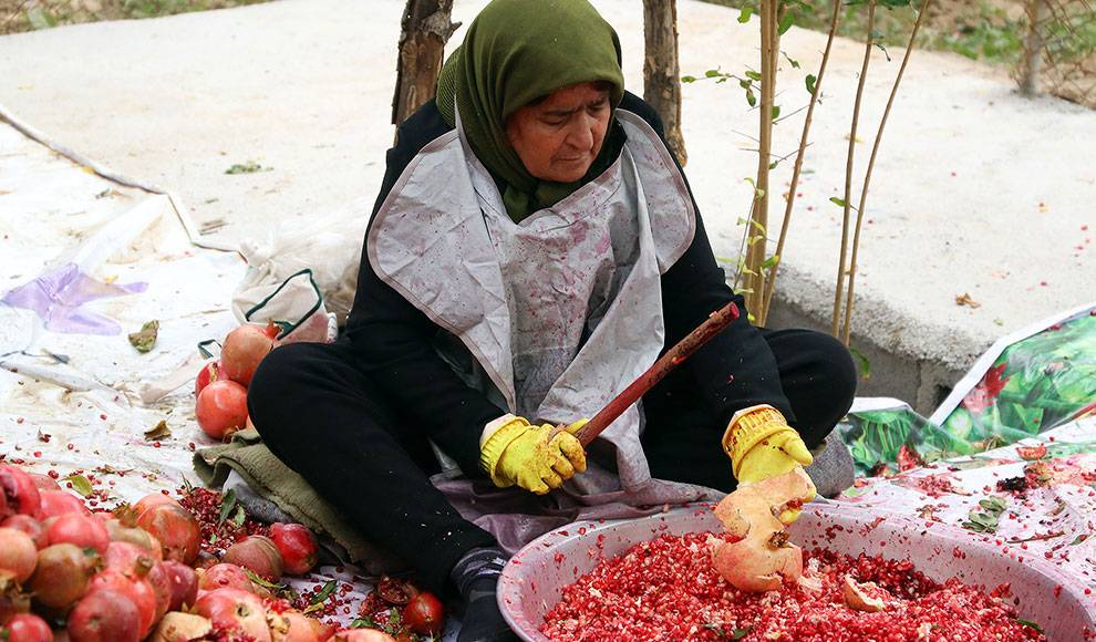 تصاویر روز جهان,عکس های دیدنی روز,تصاویر چهارگوشه جهان