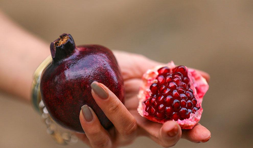 تصاویر روز جهان,عکس های دیدنی روز,تصاویر چهارگوشه جهان